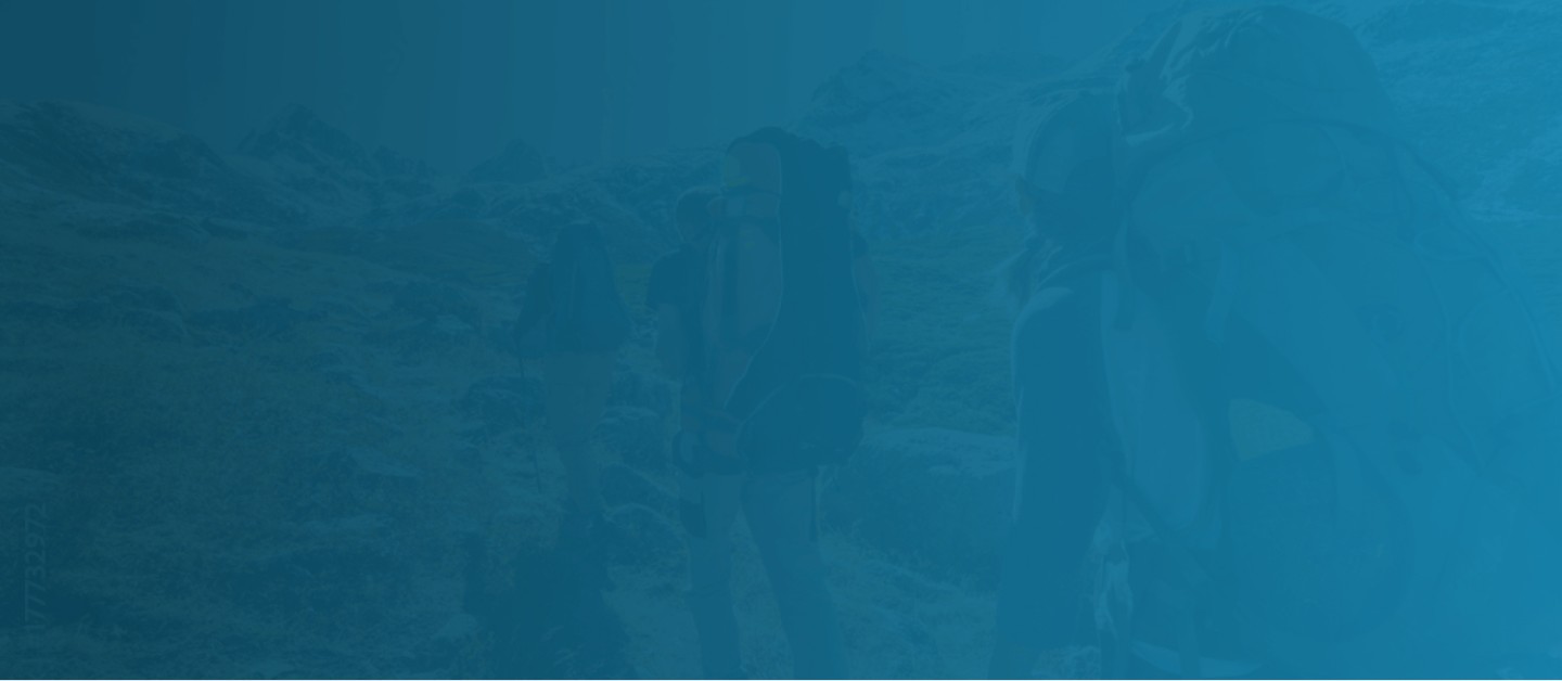 terms and conditions