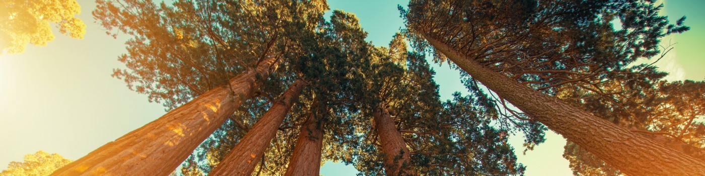 [Webinar] Avoid the Hype Cycle and deploy AR at scale